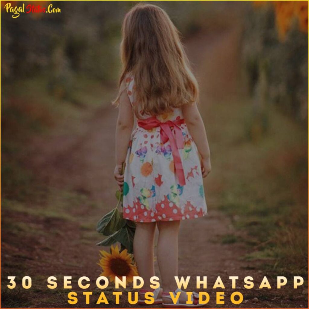 30 Seconds Whatsapp Status Video