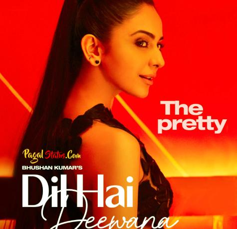 Dil Hai Deewana Song Darshan Raval Status Video