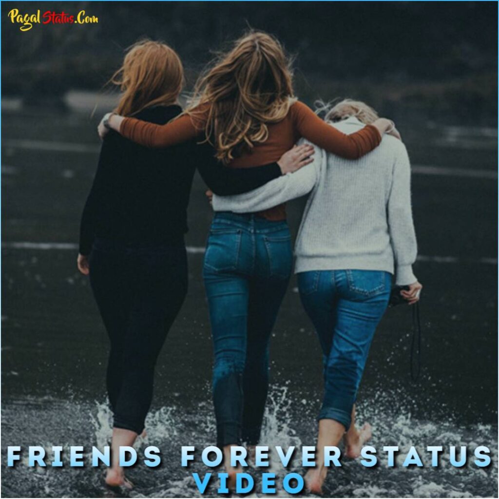 Friends Forever Status Video