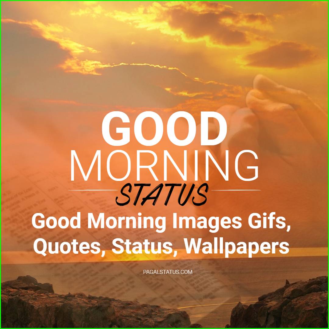 565+ Good Morning Images Gifs, Quotes, Status, Wallpapers