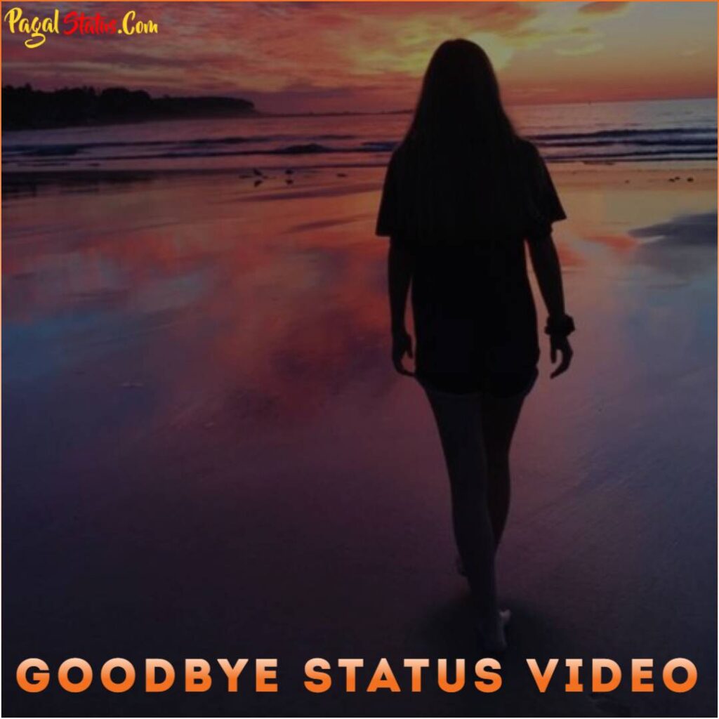 Goodbye Status Video