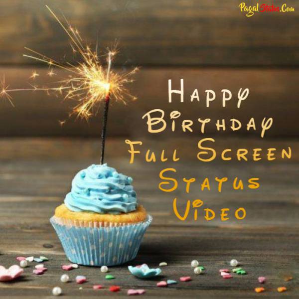 Happy Birthday Full Screen Status Video