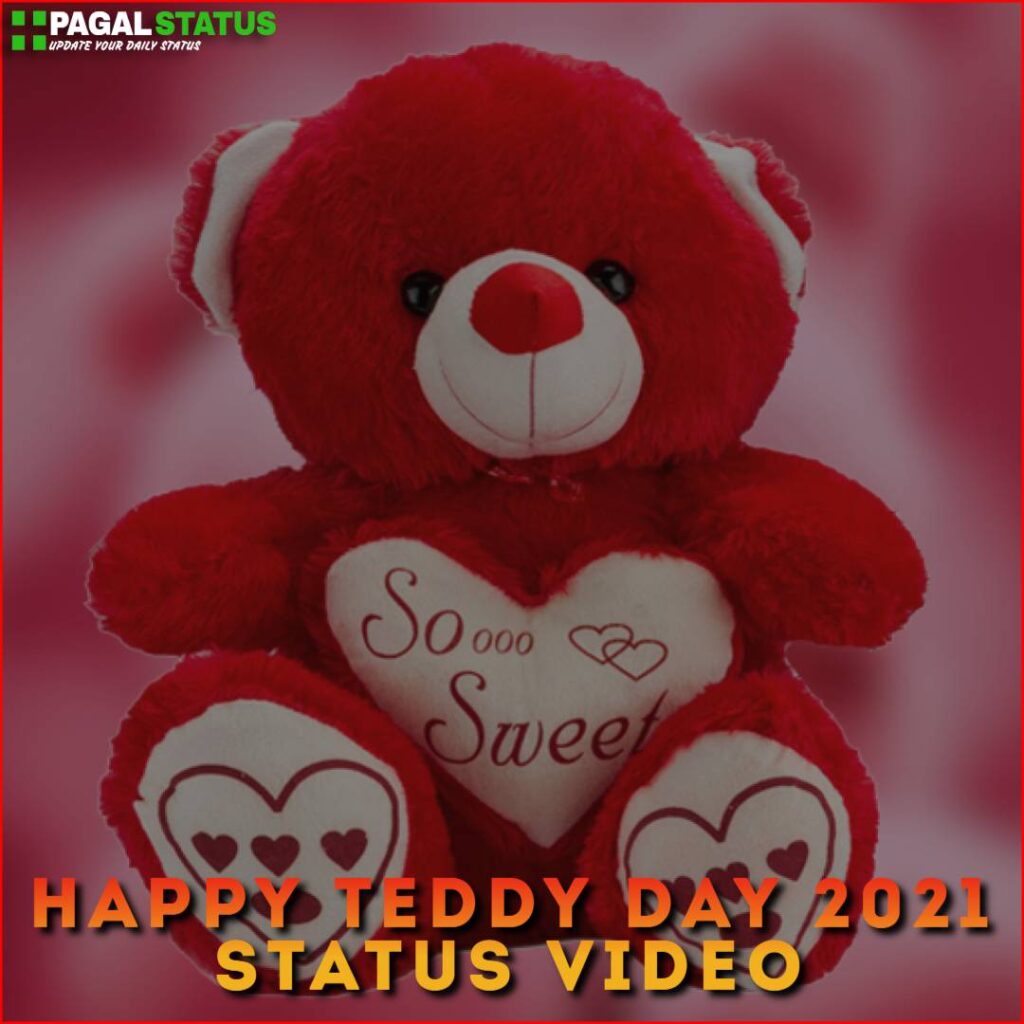 Happy Teddy Day 2021 Status Video