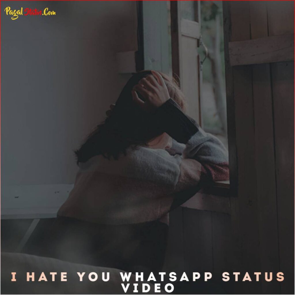 I Hate You Whatsapp Status Video