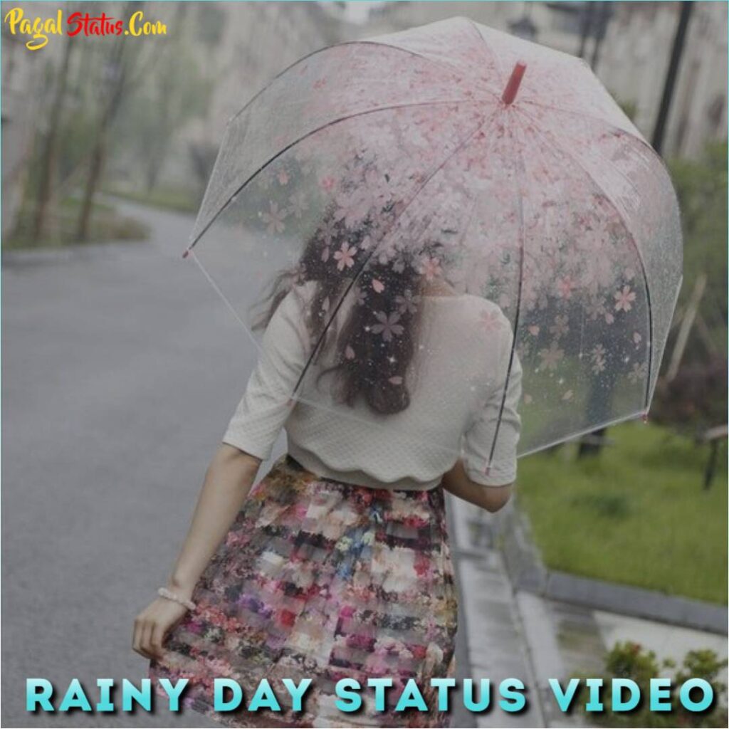 Rainy Day Status Video