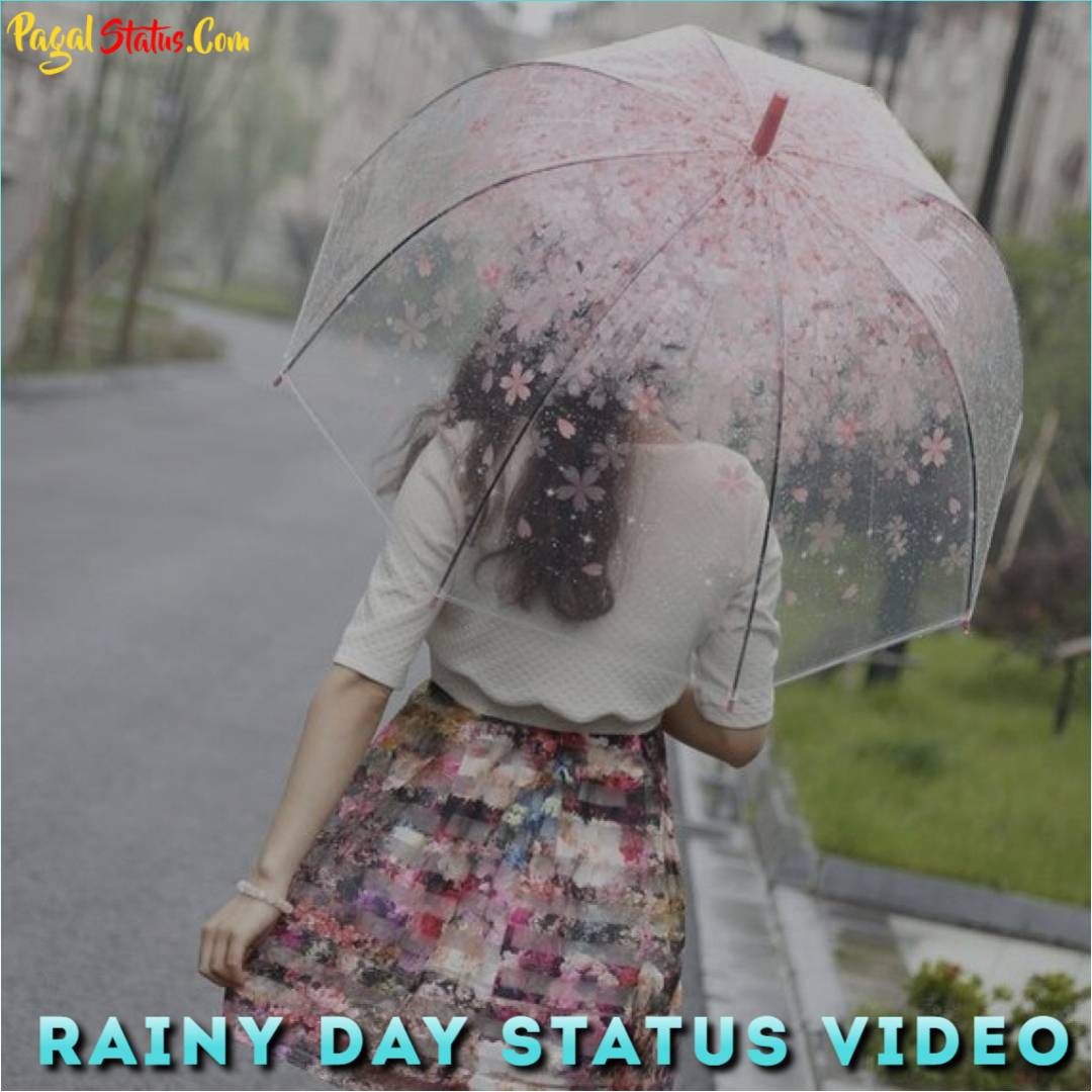 Rainy Day Status Video