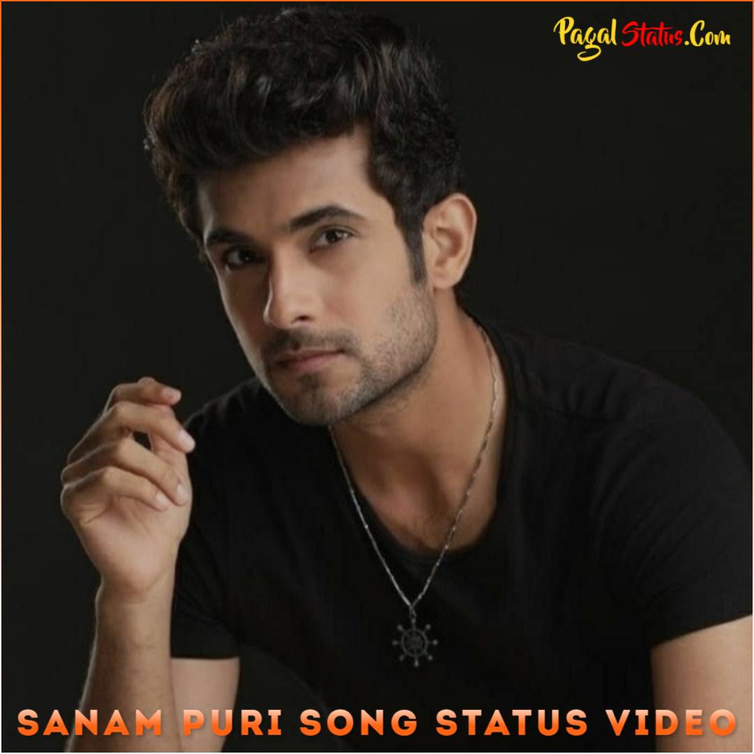 Sanam Puri Song Status Video