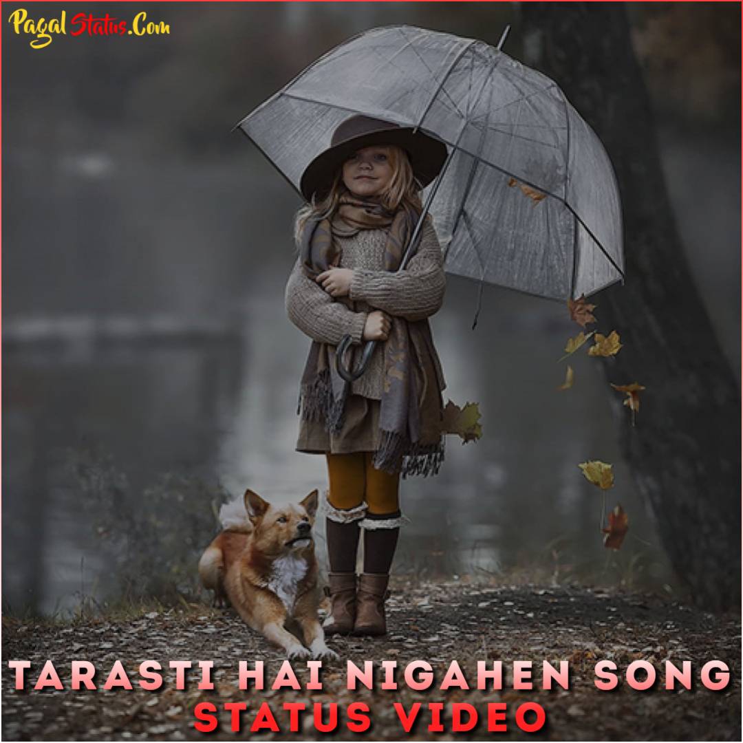 Tarasti Hai Nigahen Song Status Video