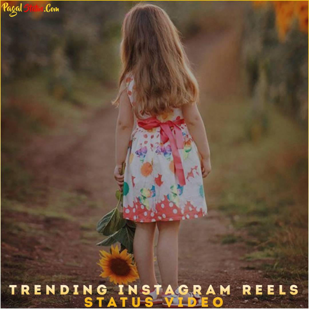 Trending Instagram Reels Status Video