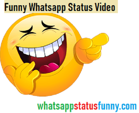 Funny Whatsapp Status Video