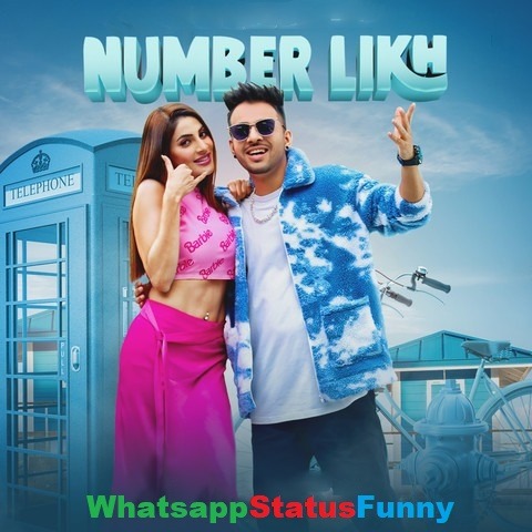 Number Likh Song Tony Kakkar Status Video