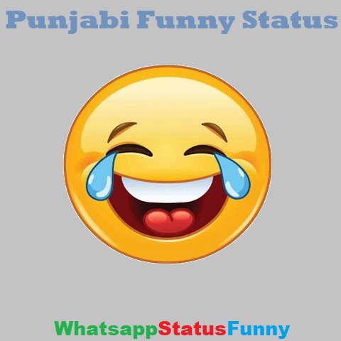 Punjabi Funny Status