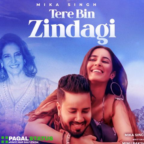 Tere Bin Zindagi Song Mika Singh Status Video