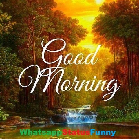 Good Morning Status Video For Whatsapp