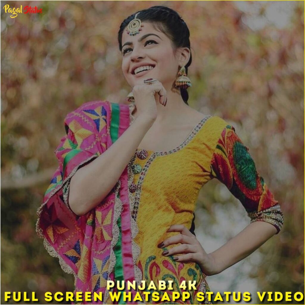 Punjabi 4K Full Screen Whatsapp Status Video