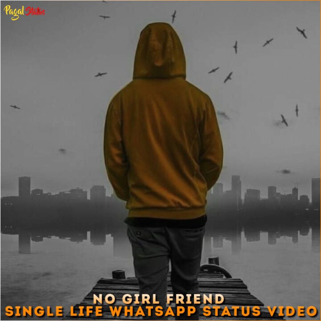 No Girlfriend Single Life Whatsapp Status Video