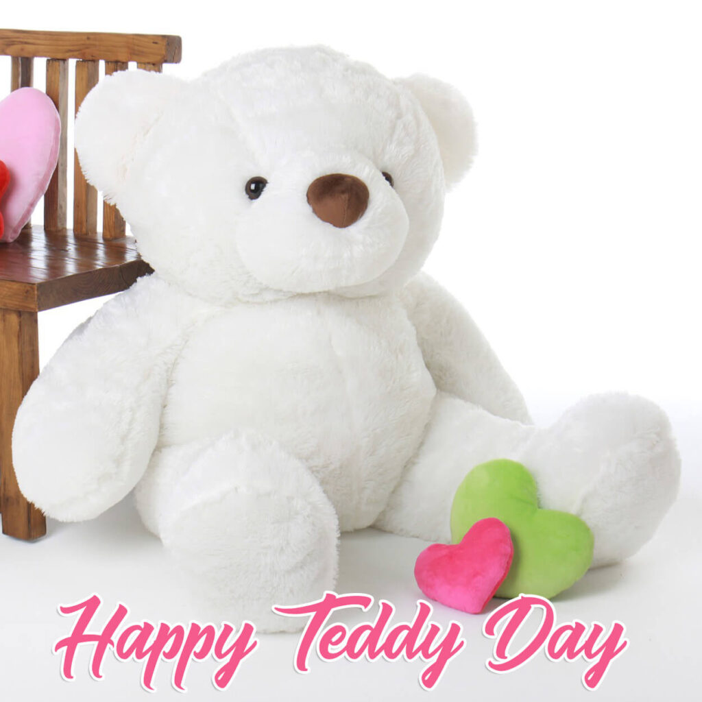 Happy Teddy Day Whatsapp Status Video