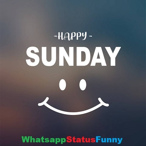 Beautiful Sunday Whatsapp Status Video