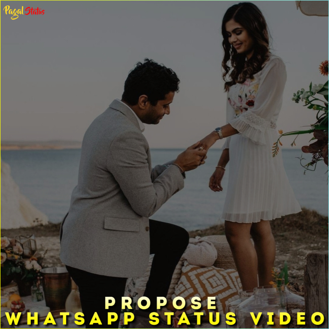 Propose Whatsapp Status Video