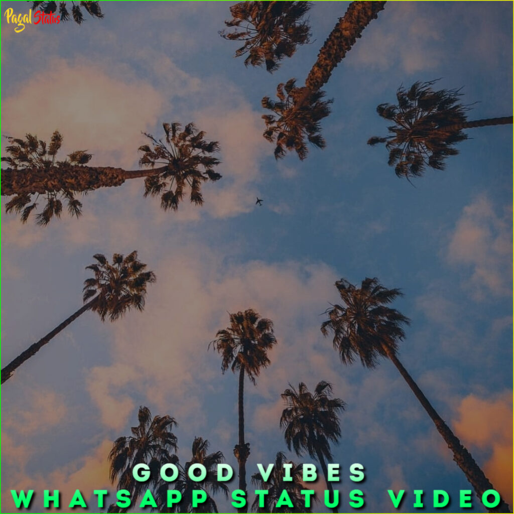 Good Vibes Whatsapp Status Video