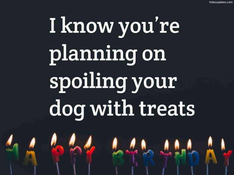 https://videosupdates.com/dog-birthday-wishes/