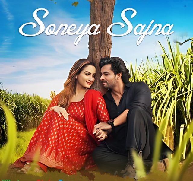 Soneya Sajna Song Whatsapp Status Video