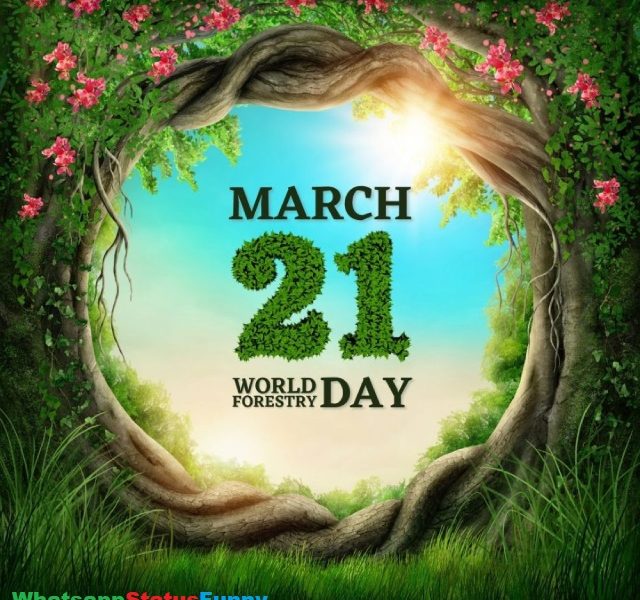 World Forest Day March 21 Special Status Video